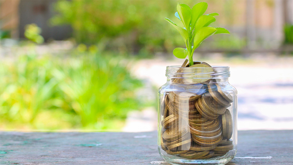 Разработка сайта - это инвестиция